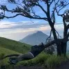 Adis aditya
