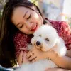 Joni Linh IMAP