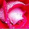 Sameer Ahamad