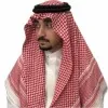 Faisal AlNajar