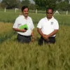 D Singh