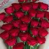 Vikash Rajput