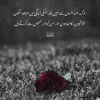 Kainat Nafees