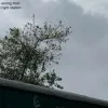Hritik Hritik
