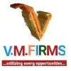 VMFIRMS Digital Marketing
