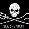 Chris Shepherd