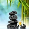 Swarna Lekha TM