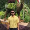 Shashank Kolekar