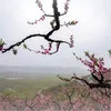 GY Deng