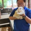 Pang Liang Ee