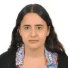 Beril Hamarat