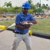Malleswara Rao Angara