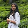 Lavanya