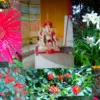 DIVYABHARATHI PALANISAMY