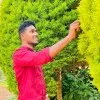 Gonupalli Saikrishna