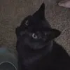 Phoebe Claunch