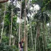 Damor Rajesh
