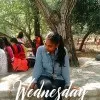 Akshaya Sekar