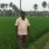 Dhandapani RK