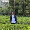 Mohan Kumar