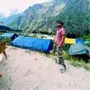 Prashant Maheshwari
