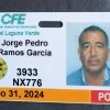Jorge Pedro Ramos Garcia