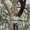 Paul Raj