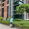 Palak Billore