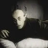 Jackie Jarvis