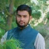 Tabish Tahir