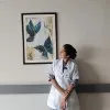 Megha