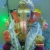 Shital Chavan