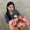 Minh Chau Hoang