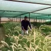 JeevanandBabu pv