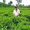 Md Jamil