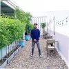 Harshit Chauhan