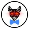 BowTied Dingo
