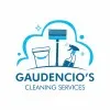 Thamirez Gaudencio
