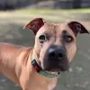 Mateo