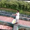 amit gurav