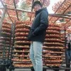 JingYe Li