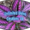 Gabys Unlimited Divine Creations Virtual Assistant