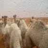 Abdulla Magheeb