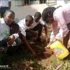 Nylla Kimuli