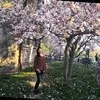 Constance Yang