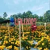 Achmad Baihaki