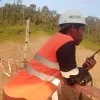 Gufridha Gufri