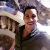 Amr Ali