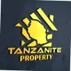 Tanzanite property