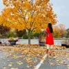 Preethi
